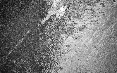 How Does Rain Affect Asphalt Paving Jobs?